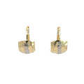 Zlaté náušnice NP-908