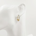 Dámske zlaté náušnice NP-954