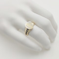 Pánsky zlatý prsteň PP-19 Pánsky zlatý prsteň PP-19