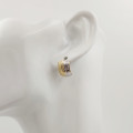 Dámske zlaté náušnice NP-42