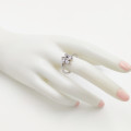 Strieborný dámsky prsteň SDP-100